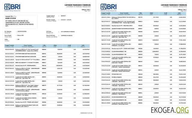 Déclaration de transaction financière de la Bank Rakyat Indonesia (BRI) d'Indonésie, modèle Word et PDF, 2 pages